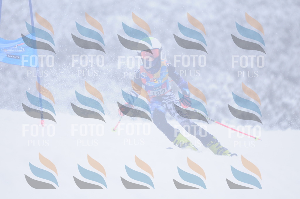 C2095 | holidayphoto