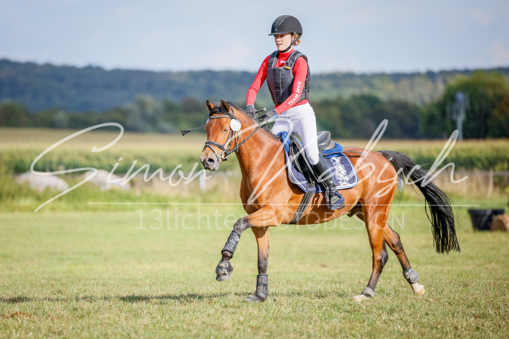 20250905-_3LI1806 | Tierfotografie Pferde, Hunde, Katzen, Haustiere.
Turnierfotografie Reitturniere, Reiten, Springreiten, Dressur in Hanau, dem Main-Kinzig-Kreis und dem Rhein-Main- Gebiet um Frankfurt