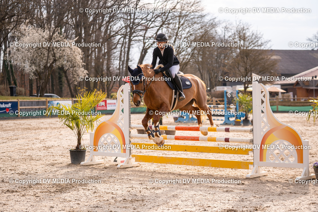 Kranichstein Tag 2-1423 | dv-media-shop - Realisiert mit Pictrs.com