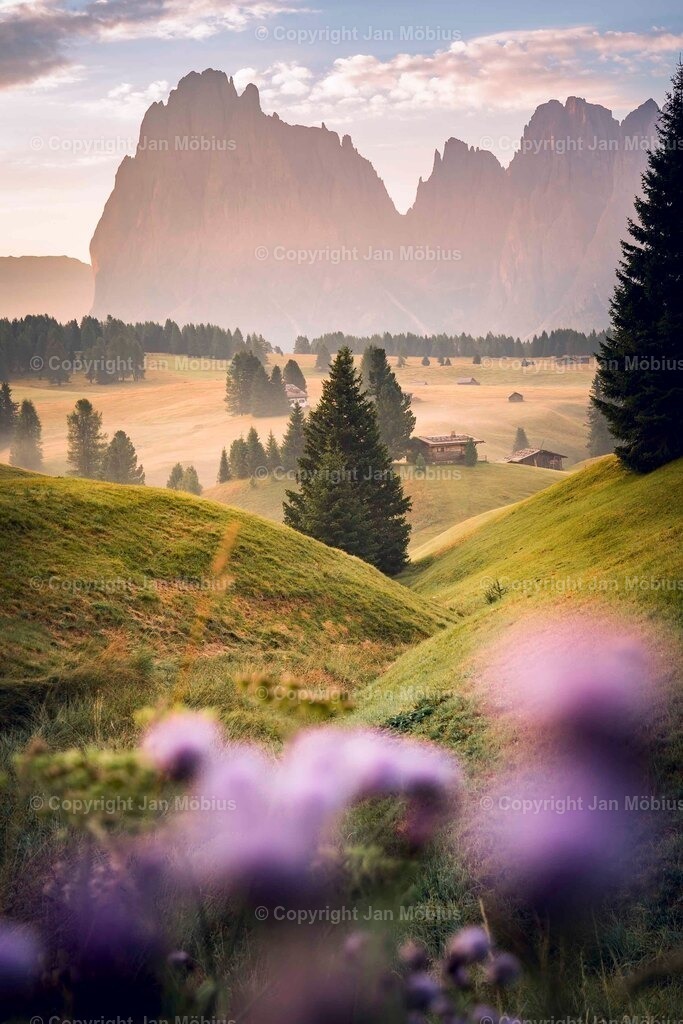 _DSC2021 | Leipzig Wandbilder Drucke Prints Leinwand Stadtmotive Leipzig Fotosdruck Kunstdrucke Bilder Leipzig Stadtansichten Acrylglasbilder Leipzig Wanddeko Fine Art Prints Wandbilder Büro Leipzig Bilder Praxis Zuhause Bilderdruck Poster Posterlounge Kunstdrucke - Realisiert mit Pictrs.com