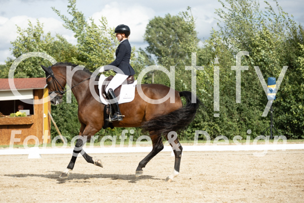 IMG_6977 | Creatify Fotografie