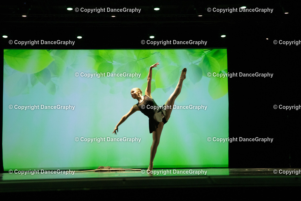 GPHY6843 | DanceGraphy - Realisiert mit Pictrs.com