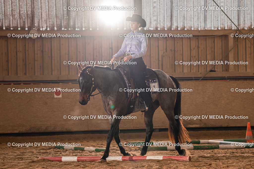 BA400203 | dv-media-shop - Realisiert mit Pictrs.com