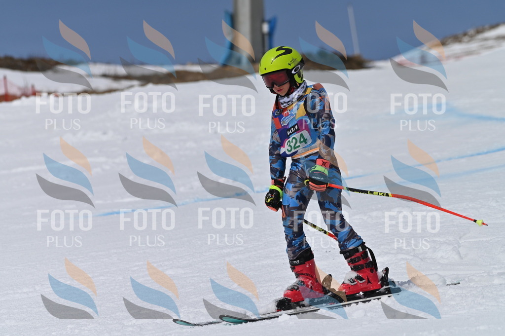 BGV_6421 | holidayphoto