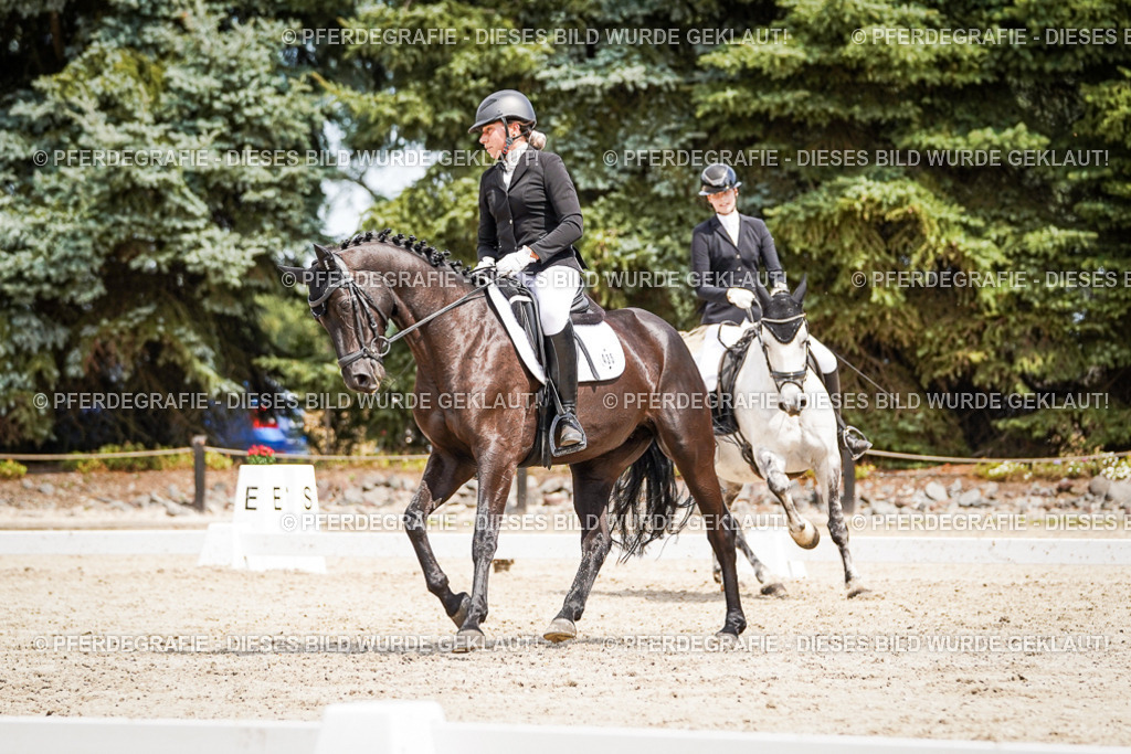 DSC03503 | Pferdegrafie