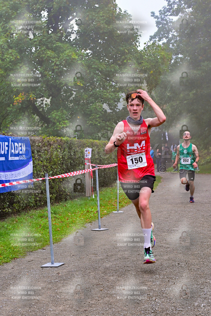 Z8N_1155 | la-psv - Realisiert mit Pictrs.com