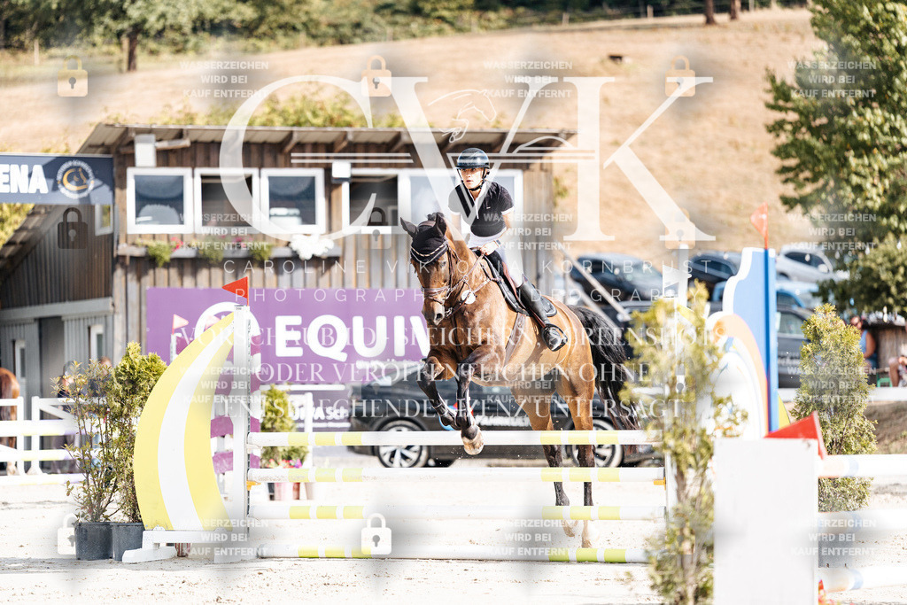CK909079 | Turnierfotografie Pferdefotografie Trier Rheinland-Pfalz Pferdesport Reitsport Tierfotografie Sportfotografie Pferdevideo Pferdevideografie Equestrianvideography equestrianphotography  - Realisiert mit Pictrs.com