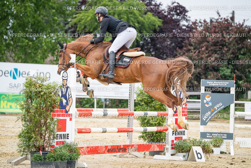 DSC00696 | Pferdegrafie