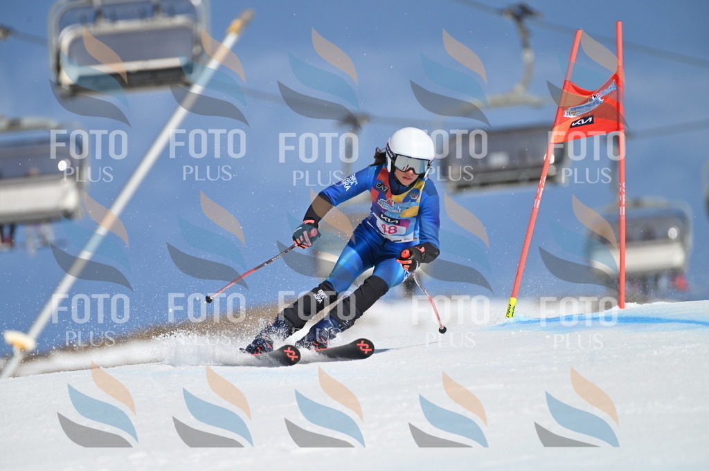 BGV_8497 | holidayphoto