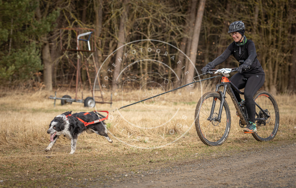 DV3A4555 | Hundefotografie, Tierfotograf, Pfotenfotografie, Fotoshooting Hund, Hunde Portrait, Hundesport, Hundeportraits, Heideshooting, Hunde, Sportfotograf, Hundefotograf, Turnierhundsport, THS,  - Realisiert mit Pictrs.com