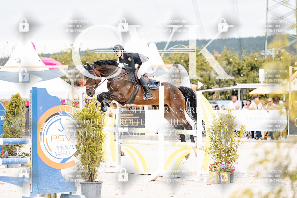 CK906197 | Turnierfotografie Pferdefotografie Trier Rheinland-Pfalz Pferdesport Reitsport Tierfotografie Sportfotografie Pferdevideo Pferdevideografie Equestrianvideography equestrianphotography  - Realisiert mit Pictrs.com