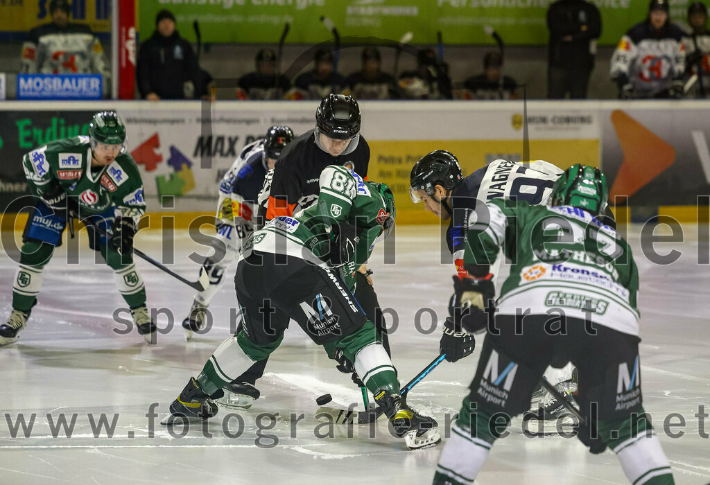 2024-01-26_006_TSV_Erding_gegen_HC_Landsberg | Erding, Deutschland, 26.01.2024:
Eishockey, Bayernliga Vorrunde 2023 / 2024, 28. Spieltag, TSV Erding gegen HC Landsberg, Endergebnis: 6:2

Maximilian Forster (Erding Gladiators, #81), Frantisek Wagner (HC Landsberg, #97)

Foto: Christian Riedel / fotografie-riedel.net