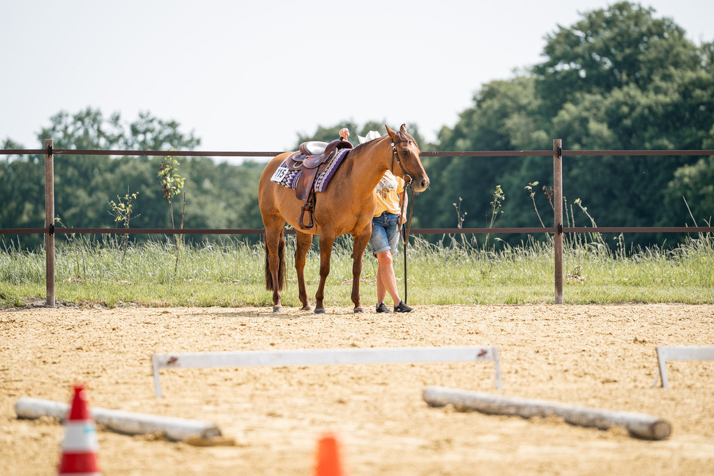 DSC09952 | Pferdegrafie