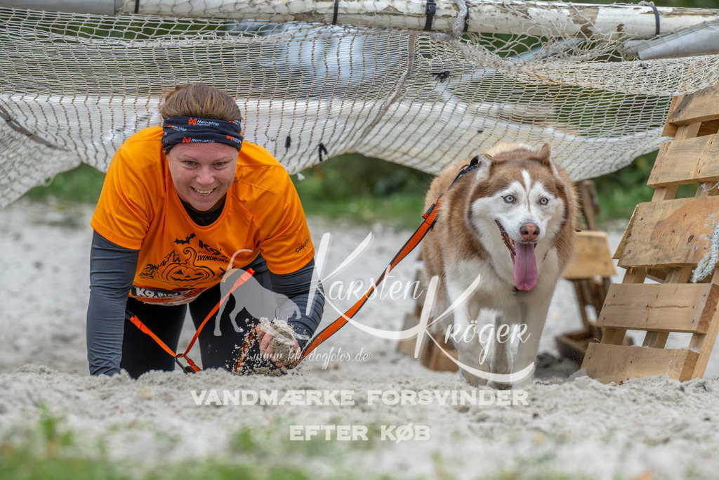 1031_ZZ94129 | kk-dogfotos