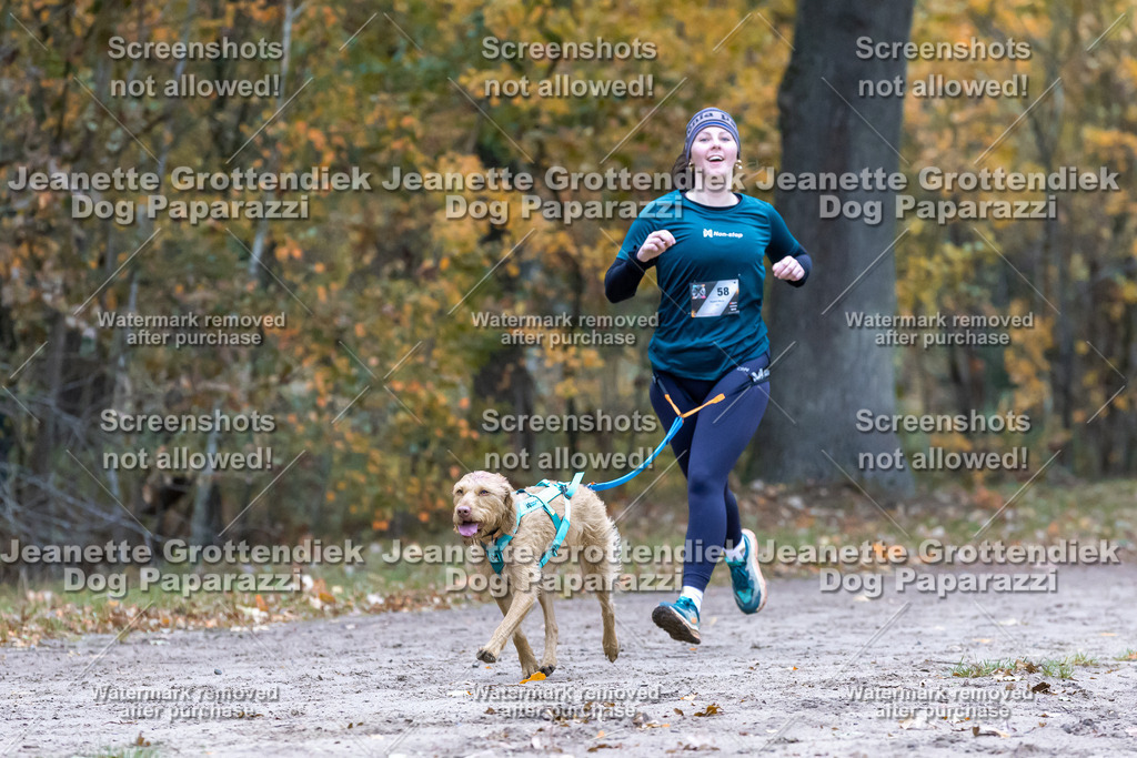 Dog Paparazzi - SD CaniX Championship 2025-370 | Dog Paparazzi Jeanette Grottendiek Fotografie & Videografie - Realisiert mit Pictrs.com