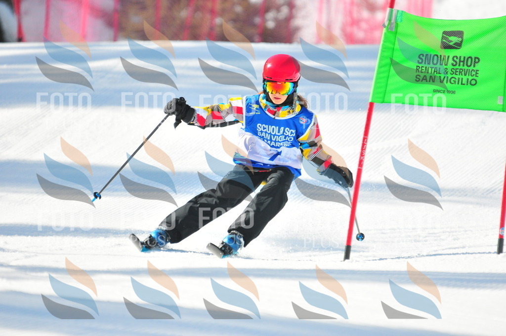 B8986 | holidayphoto