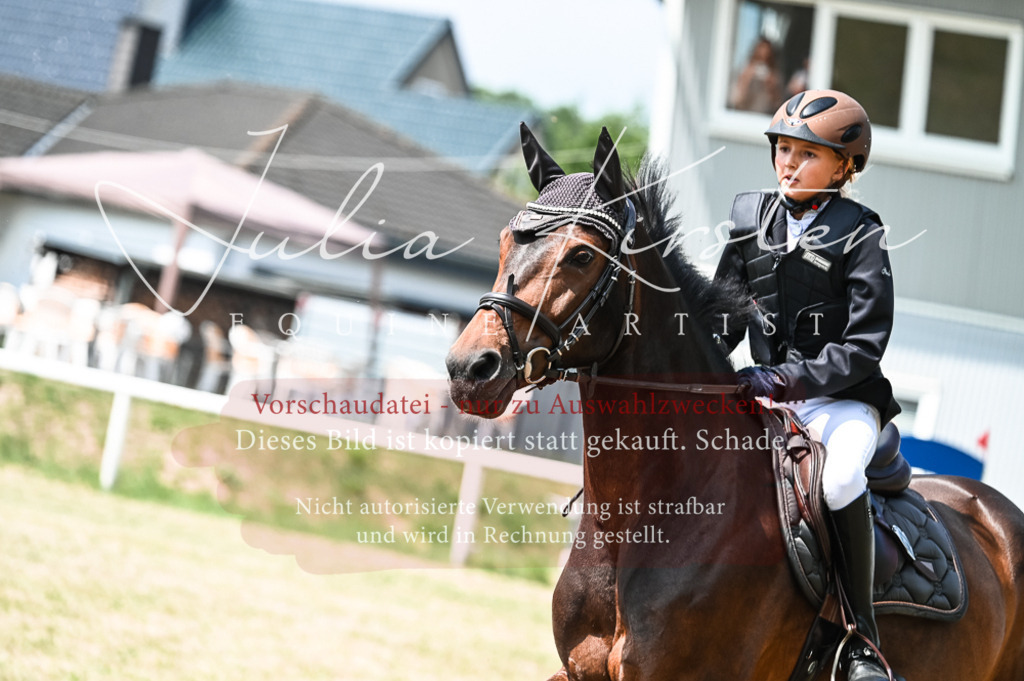 DSC_9265 | Pferde- und Turnierfotografie in Westsachsen. Pferdeportraits, Auftragszeichnungen und intuitive Kunst.