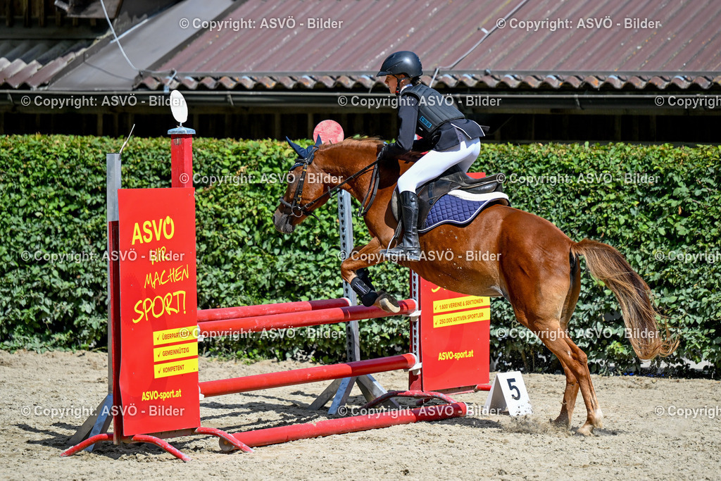 ASVÖ_ Reiten Bezirksmeisterschaft_ 24.08.2025-120 | 24.08.2025, AUT, ASVÖ, Reiten Bezirksmeisterschaft 2025Dressur und Springreiten©fodo.media / Harald Dostal - Realisiert mit Pictrs.com