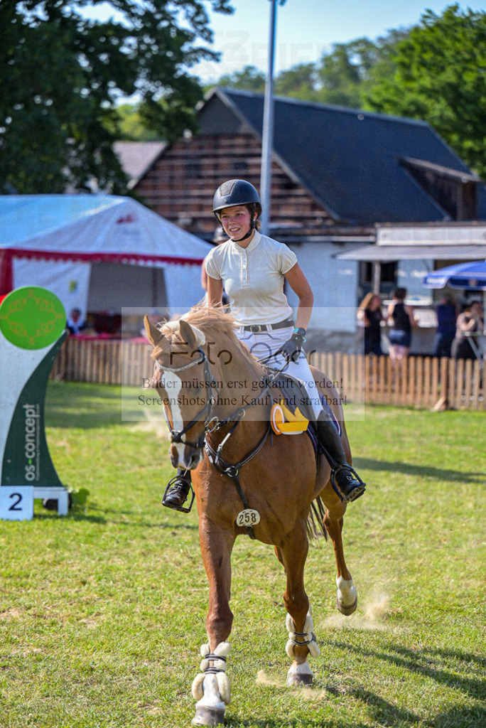 Reitturnier Voxtrup | Entdecke hochwertige Reitturnierfotos von Foto Oger. Professionell, emotional und authentisch – jetzt Lieblingsmomente im Shop bestellen.Deutschlandweite Turnierfotografie. - Realisiert mit Pictrs.com