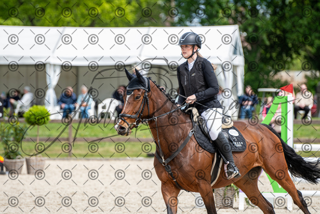 KPT_5545 | andre_photographic