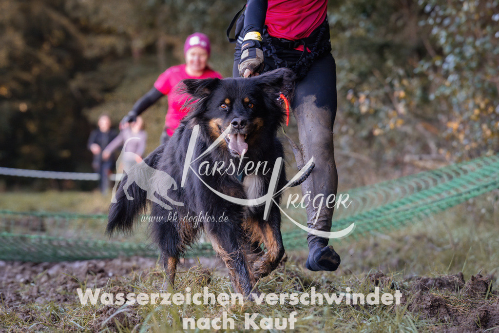 1024_ZZ91205 | kk-dogfotos