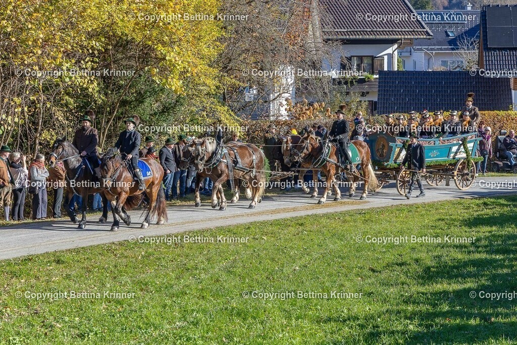 LBT25-526 | foto-bettina-krinner - Realisiert mit Pictrs.com