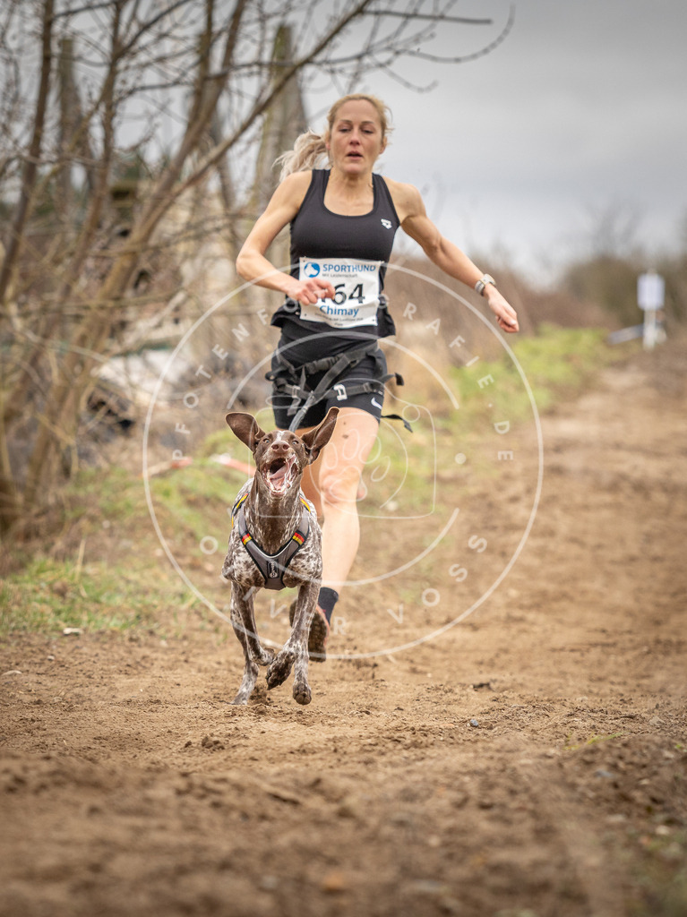 DV3A1794 | Hundefotografie, Tierfotograf, Pfotenfotografie, Fotoshooting Hund, Hunde Portrait, Hundesport, Hundeportraits, Heideshooting, Hunde, Sportfotograf, Hundefotograf, Turnierhundsport, THS,  - Realisiert mit Pictrs.com