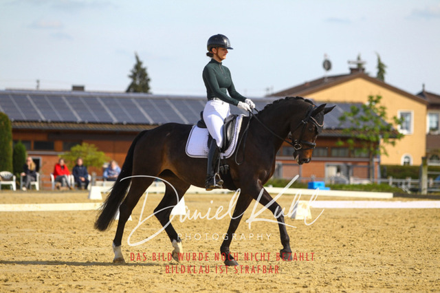 DKP43309 | Turniersportfotografie; Pferdefotografie; Dressurfotografie