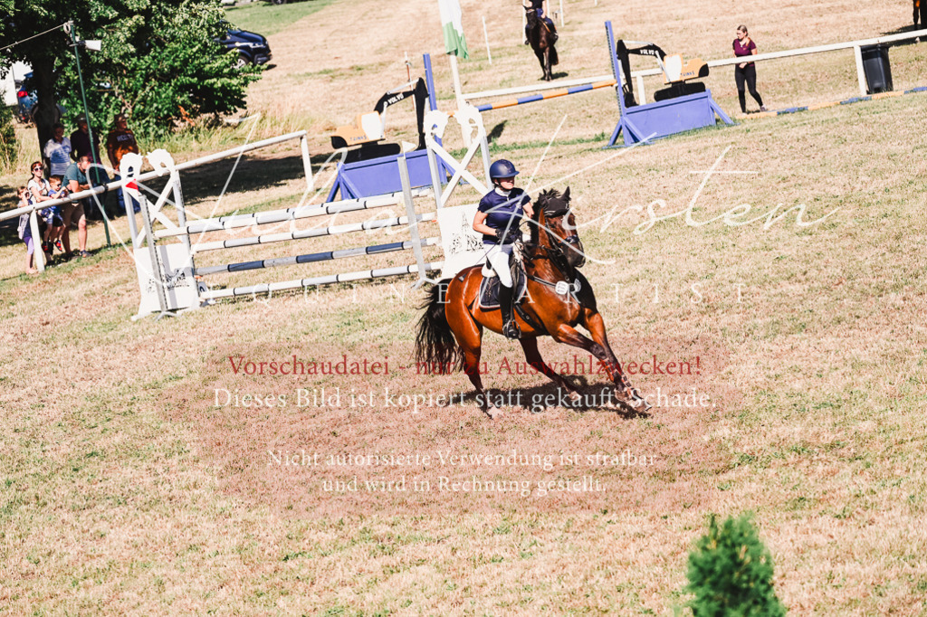 DSC_2119 | Pferde- und Turnierfotografie in Westsachsen. Pferdeportraits, Auftragszeichnungen und intuitive Kunst.
