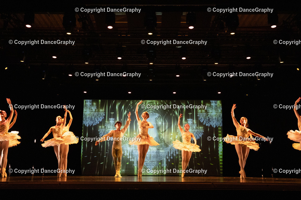 GPHY6476 | DanceGraphy - Realisiert mit Pictrs.com