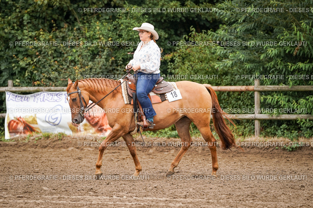 DSC03336 | Pferdegrafie