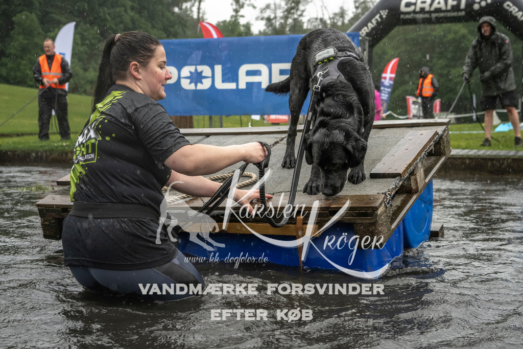 1334_ZZ99191 | kk-dogfotos