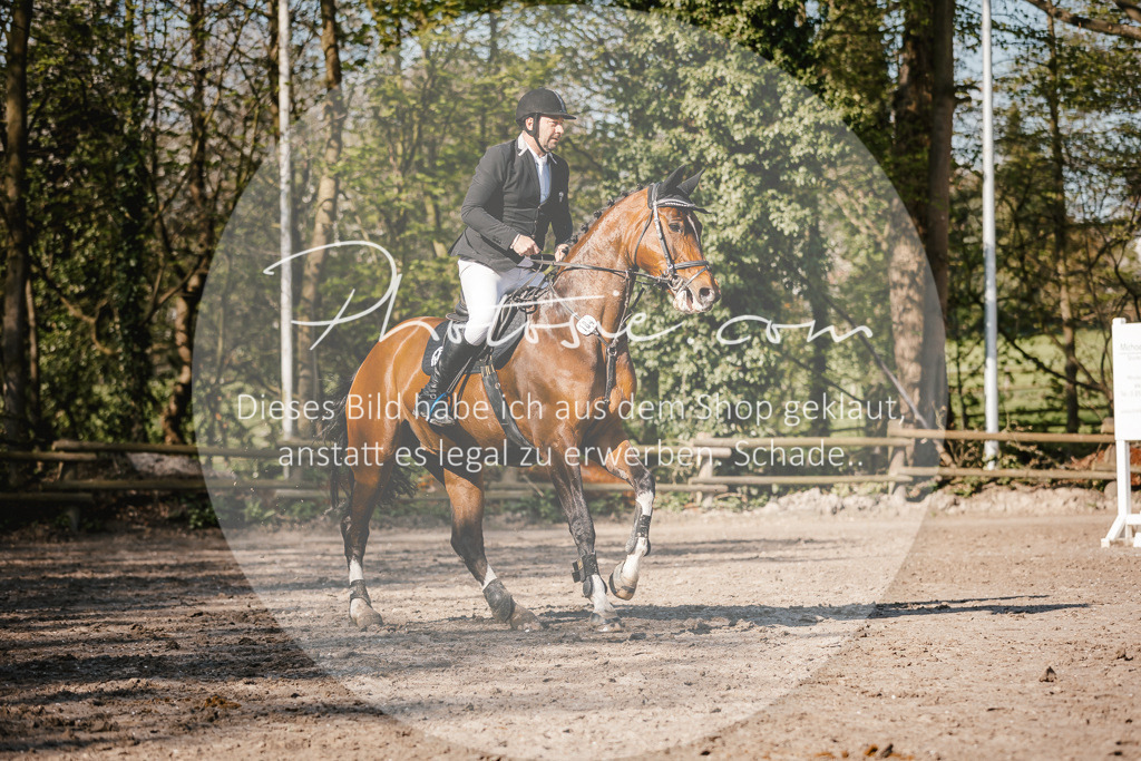 3I6A3686 | Stimmungsvolle Portraits und Reitsportfotografie im Ruhrgebiet und im Münsterland.

Pferdefotografie, Hundefotografie, Tierfotografie, Reportagen, Portraits von Tier und Mensch, Turnierfotografie in Bochum, Recklinghausen, Marl, Haltern am See, Dülmen.. - Realisiert mit Pictrs.com
