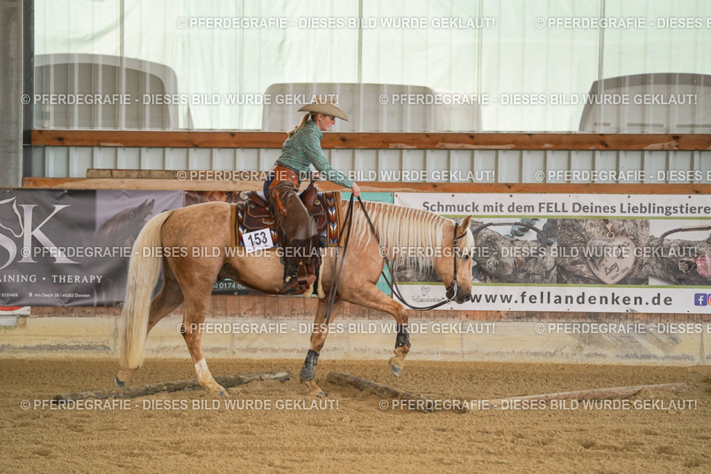 DSC07094 | Pferdegrafie