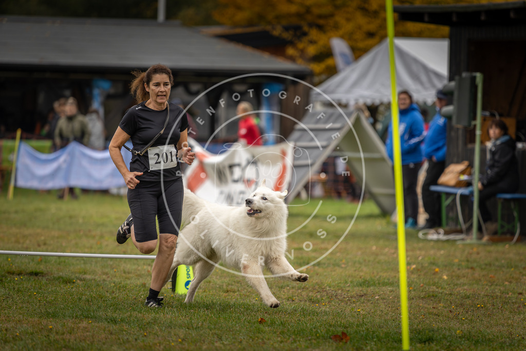 Pfotenfotografie_DV3A1600 | Hundefotografie, Tierfotograf, Pfotenfotografie, Fotoshooting Hund, Hunde Portrait, Hundesport, Hundeportraits, Heideshooting, Hunde, Sportfotograf, Hundefotograf, Turnierhundsport, THS,  - Realisiert mit Pictrs.com