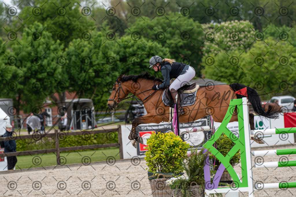 KPT_0030 | andre_photographic