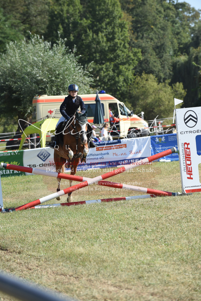 DSC_5995 | Pferde- und Turnierfotografie in Westsachsen. Pferdeportraits, Auftragszeichnungen und intuitive Kunst.