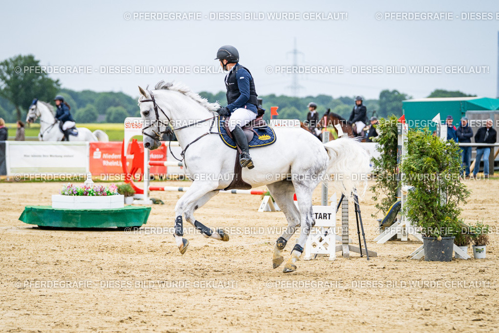 DSC07033 | Pferdegrafie