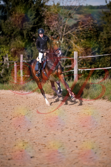 2026_10_03_Siefer-Hof_160012_Z81_80962162 | Professionelle Reitsport-, Turnier- und Eventfotografie von Robert Broda. Galerien mit ausgewählten und bearbeiteten Bildern direkt online ansehen und bestellen.