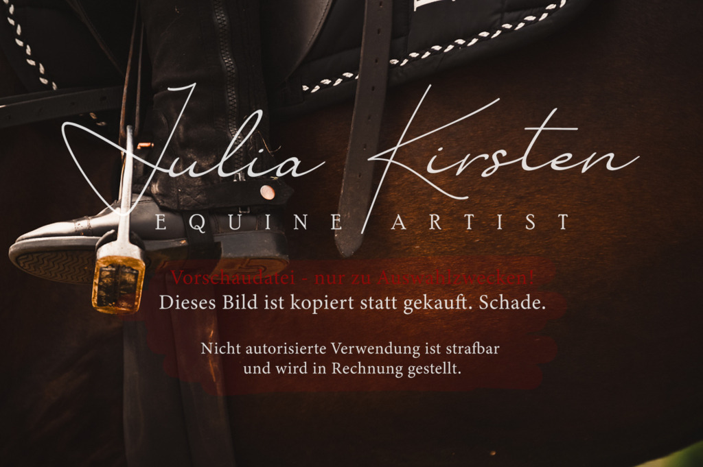 DSC_6247 | Pferde- und Turnierfotografie in Westsachsen. Pferdeportraits, Auftragszeichnungen und intuitive Kunst.