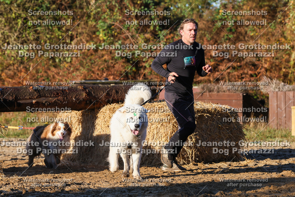 Dog Paparazzi - Strongdog 10-25-1025 | Dog Paparazzi Jeanette Grottendiek Fotografie & Videografie - Realisiert mit Pictrs.com