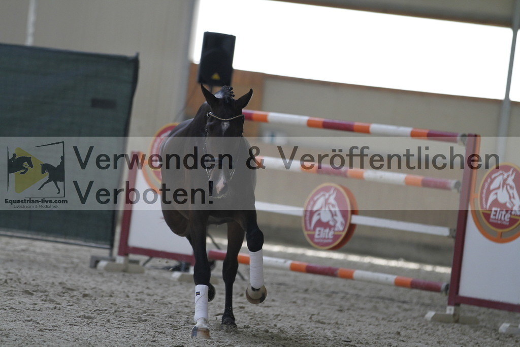 _MG_9825 | equestrian-live-com