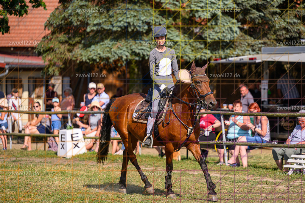 30 Jahre RFV Pulsnitz e.V., Pulsnitz am 09.08.2026 | Zur 28. breitensportlichen Veranstaltung des RFV Pulsnitz e.V. fanden verschiedene Wettbewerbe in nahezu allen Disziplinen des Pferdesport statt. - 05 Kostüm-Stilspring-Wettbewerb - Realisiert mit Pictrs.com