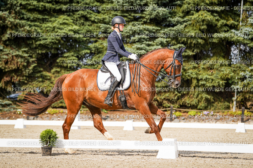 DSC07408 | Pferdegrafie