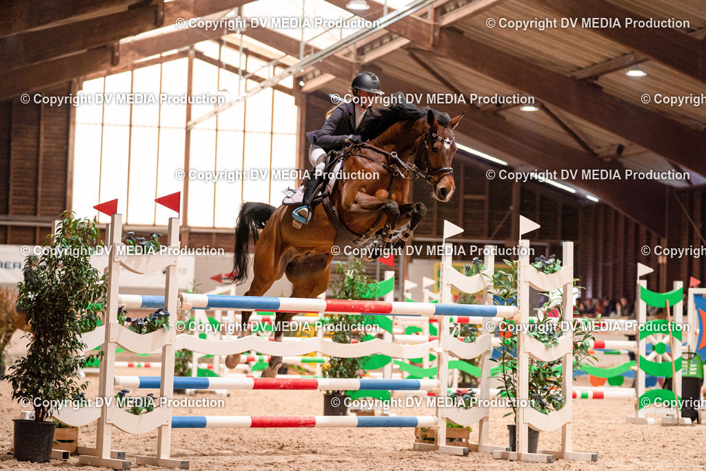 Springen Tag 3-311 | dv-media-shop - Realisiert mit Pictrs.com