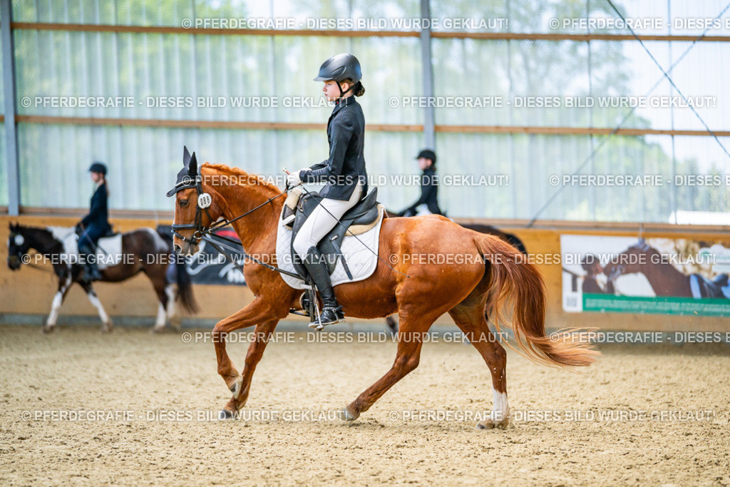 DSC03715 | Pferdegrafie