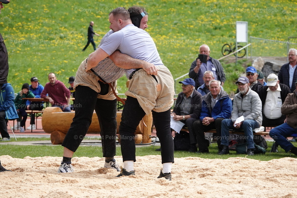 DSC03121 | Schwingen - Realisiert mit Pictrs.com