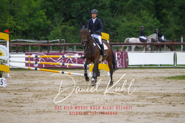 DKP41786 | Turniersportfotografie; Pferdefotografie; Dressurfotografie