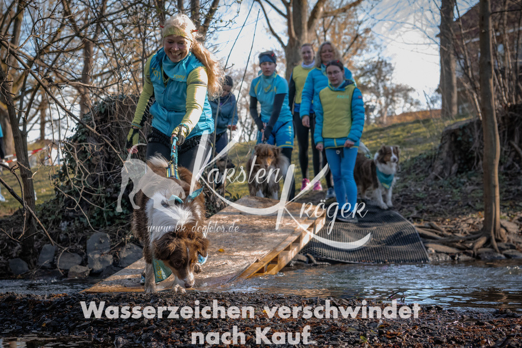 0828_ZZ91072 | kk-dogfotos