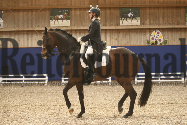 Turnier_Zeutern_2022_Prfg.Nr.02_Kurz-GrandPrix_Nicole Isser_DiCaprio 4 (23) | Alle Fotos der Reiterjournal Fotografin Doris Matthaes im Reiterjournal Online-Fotoshop. - Realisiert mit Pictrs.com